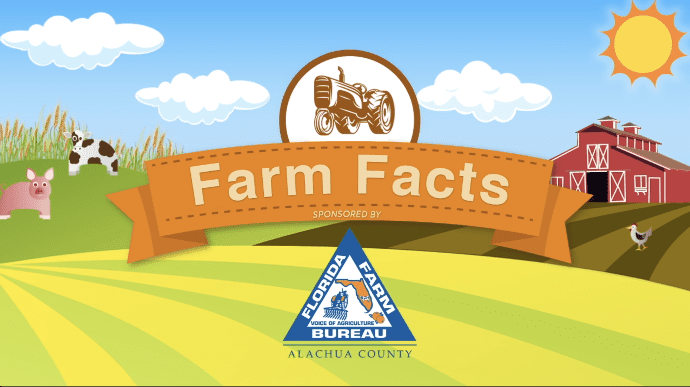 Farm Fact: Florida Blueberries
