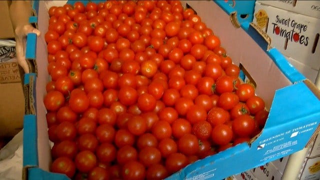 Florida farmers selling directly to consumers to avoid produce dumps