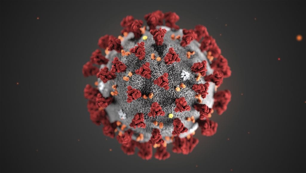 Coronavirus in Florida latest: More Hillsborough deaths, pricey unemployment fix