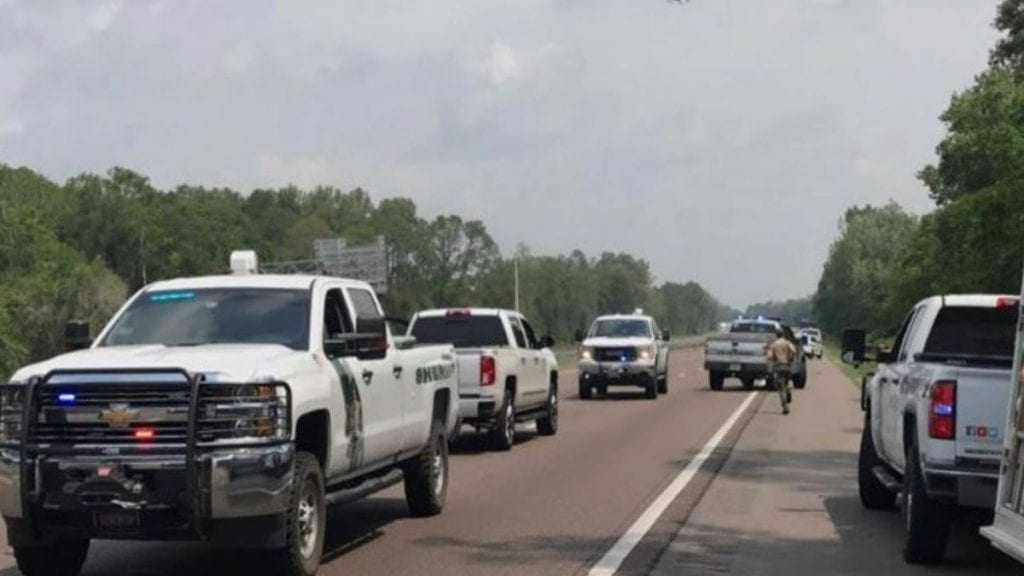 6 cows fall off truck on Florida interstate; 3 killed, traffic backed up for 2 hours