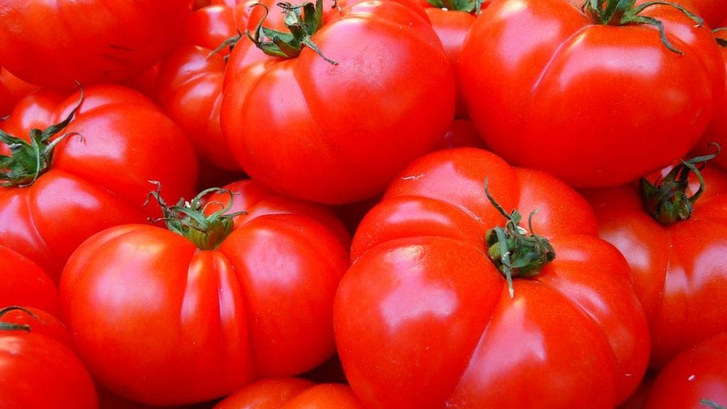 ‘This is a catastrophe’: Coronavirus claims an unexpected victim: Florida vegetables