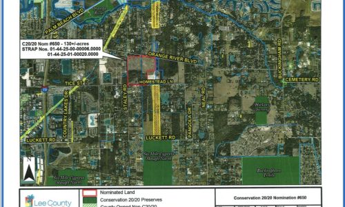 487486091_1119865293487026_879362847561650679_n