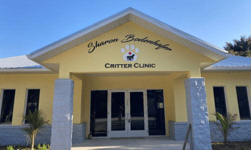 ARC-Critter-Clinic