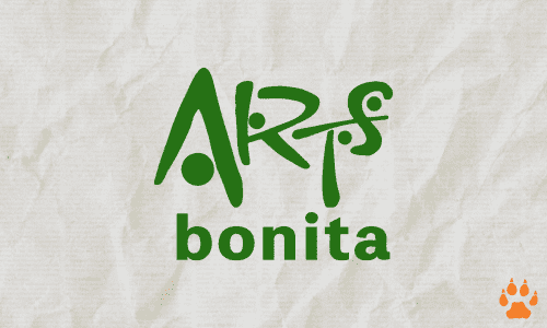 Arts Bonita – ELCN Arts Bonita - ELCN