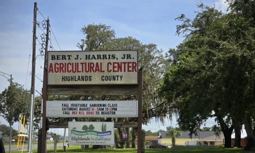 Bert-Harris-Law-Twisted-Legacies