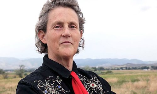 Temple-Grandin