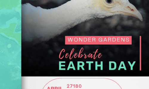 east lee April 20th Earth Day Celebration