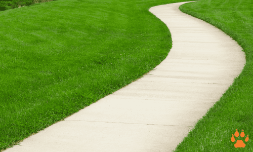 path-elcn path-elcn