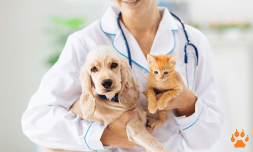 pets-elcn pets-elcn