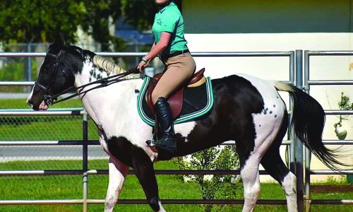 Taylor Riding Chrissy At Pgha