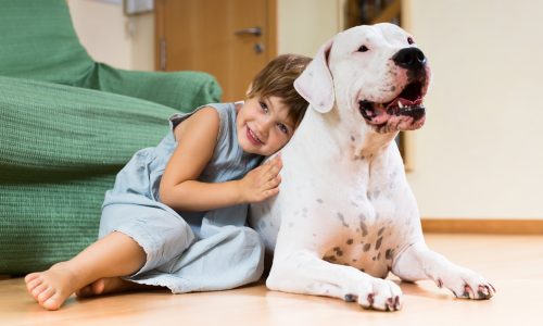 Kid and Dog