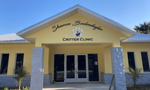 ARC-Critter-Clinic