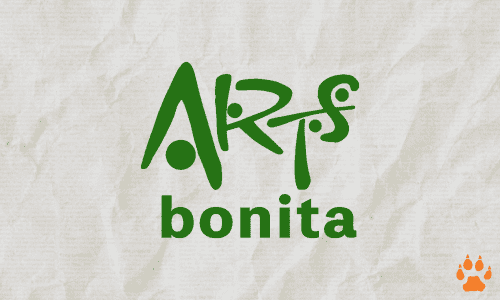 Arts Bonita - ELCN