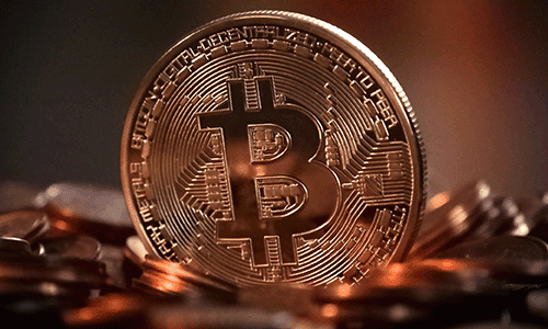 ELCN ROAR-Article Photos-OCT 2024-4