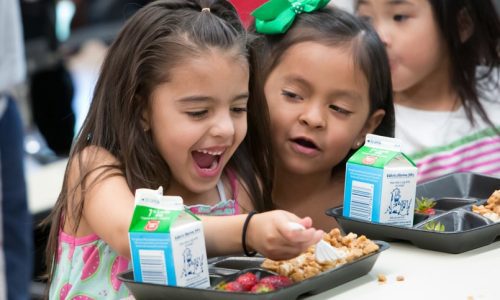 NR_LPS Summer Food Program