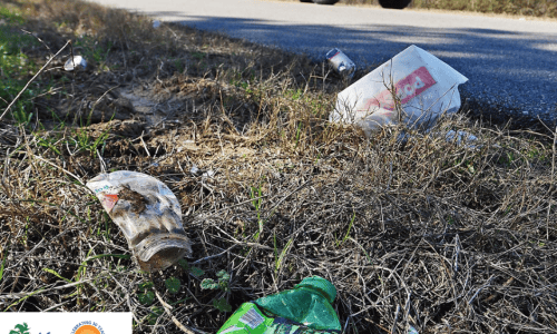 Roadside litter