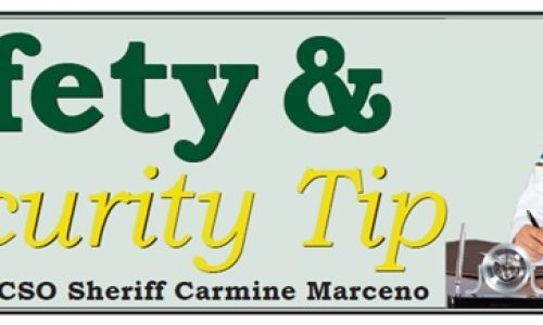 Safety & Security Tip - Lee County Sheriff's Office