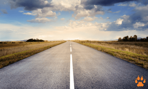 Safer Roads - ELCN