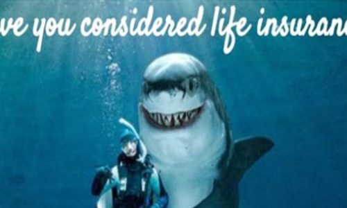 Shark - have you considered Life Insurance