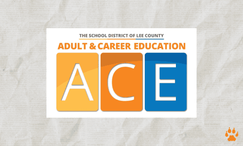 ace - elcn