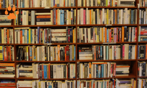 books-elcn