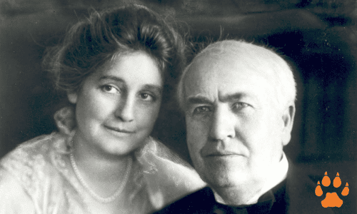 edison-elcn