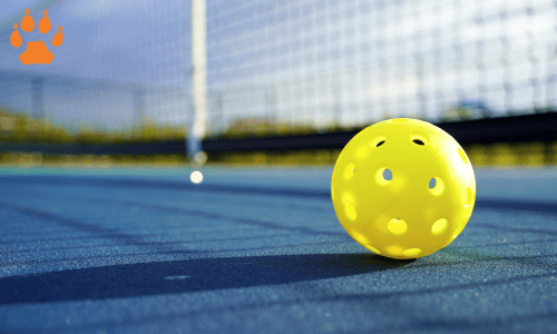 elcn-pickleball