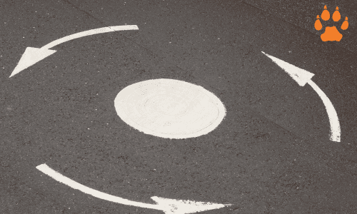 elcn-roundabout