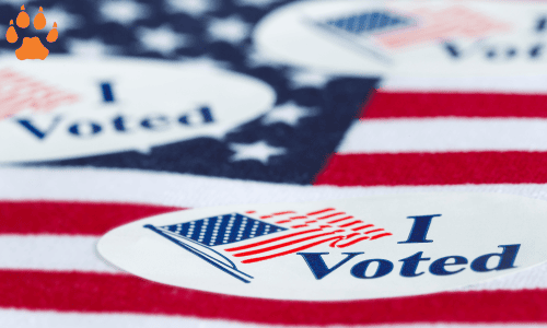 elcn-votes