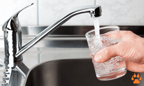 faucet - elcn