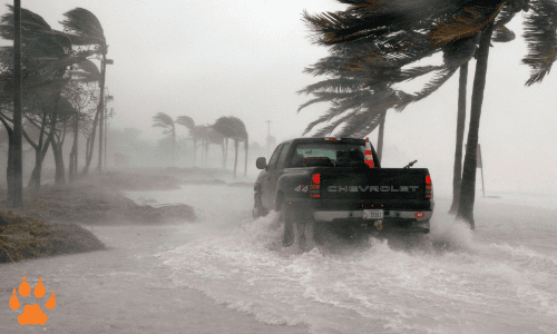 floods