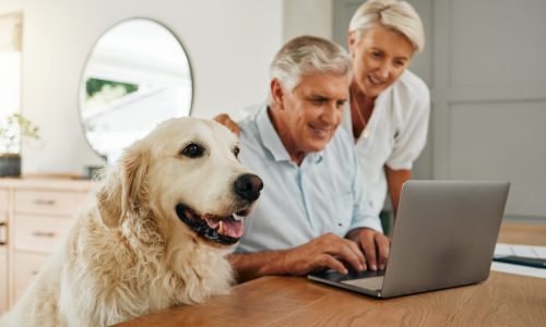 Happy senior couple, laptop and dog at table together in living room. Elderly man and woman research retirement plan or financial asset management on internet in home with cute pet in Switzerland.