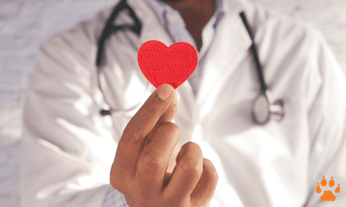 heartsafe - ELCN