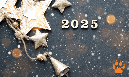 hny-elcn