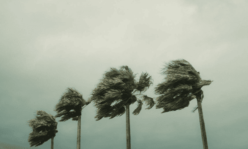 hurricane