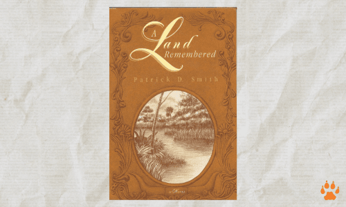 land - elcn