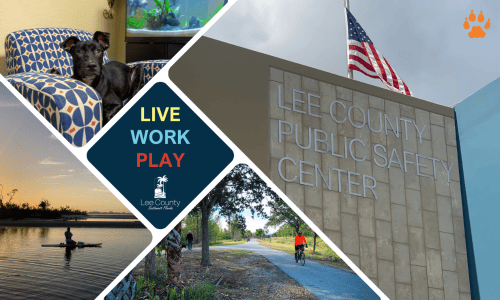 lee safety - elcn