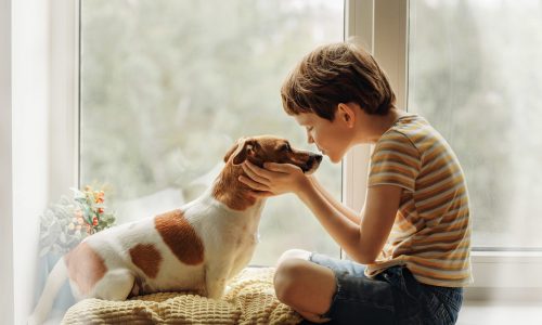 Little boy kisses the dog in nose on the window. Friendship, care, happiness, new year concept.