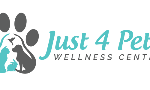logo-01