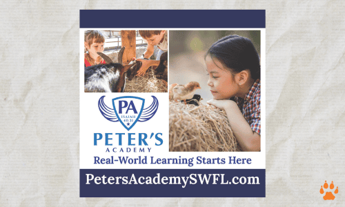 peters - elcn