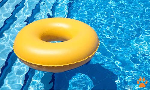 pool-elcn