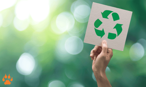 recycle - elcn