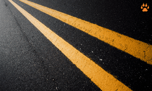 road - elcn
