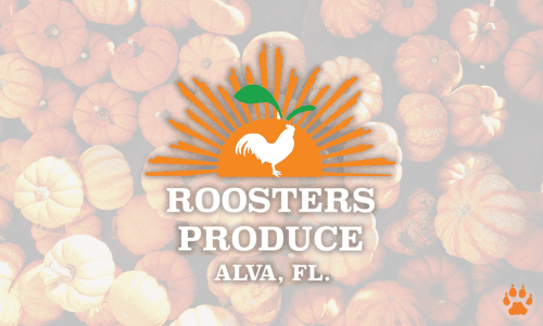 roosters - elcn