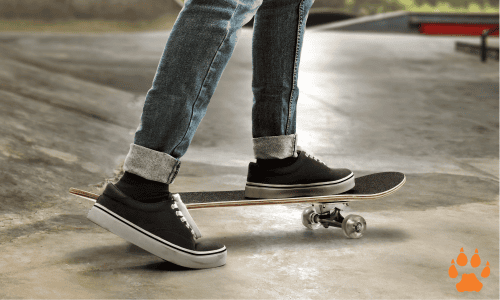 skate