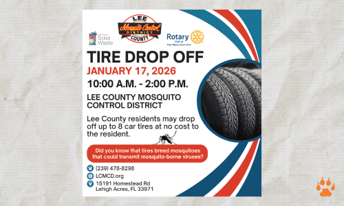 tires 2026- elcn