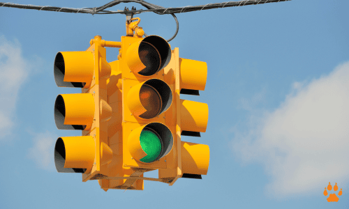 traffic signal - elcn