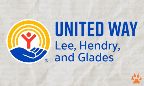 united-elcn